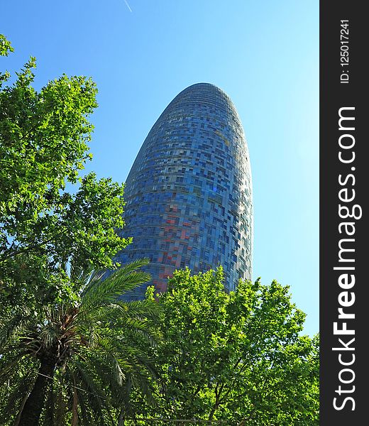 Sky, Leaf, Landmark, Tree