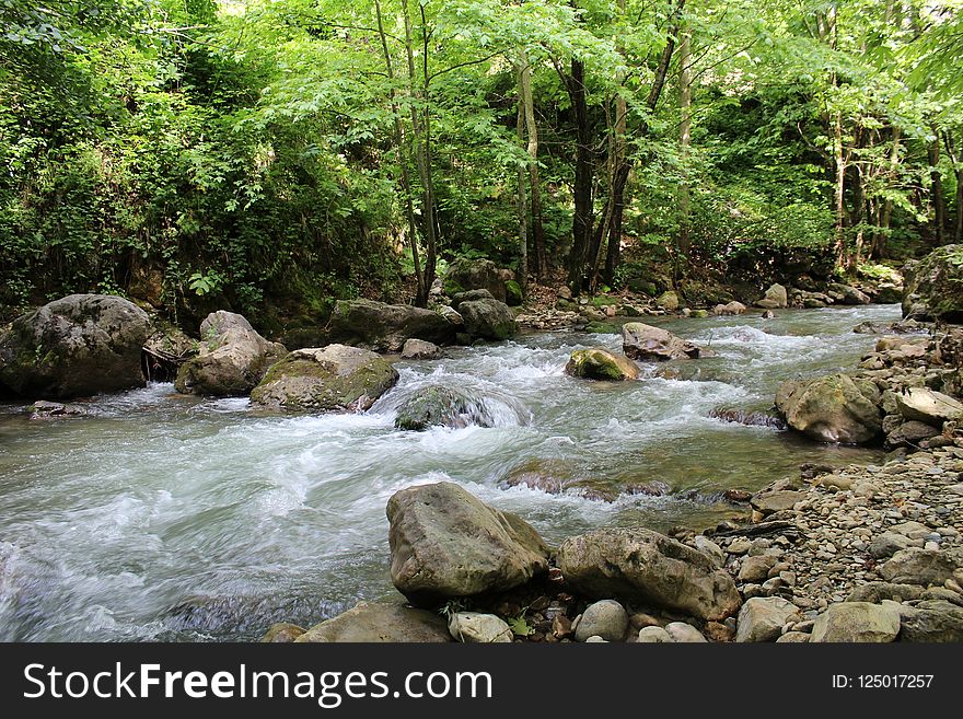 Stream, Water, Nature, Body Of Water