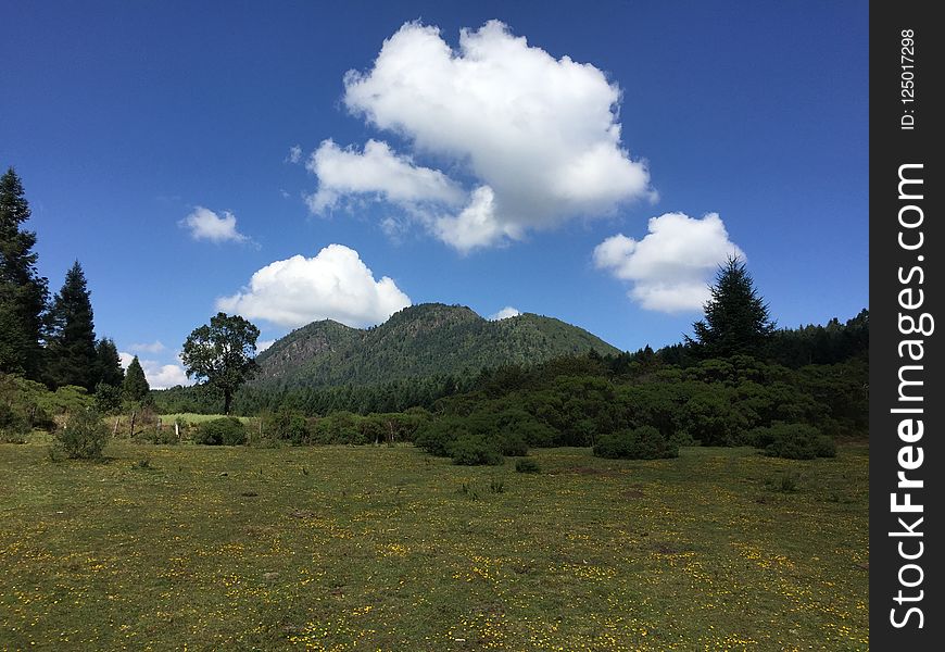 Sky, Grassland, Cloud, Ecosystem