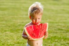 One Year Old Baby Boy Eating Watermelon In The Garden Stock Image