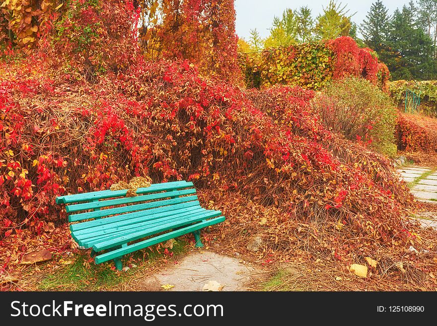 bench in Autumn season with colorful foliage and trees.