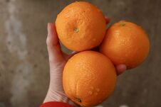 Delicious Bright Juicy Ripe Oranges Royalty Free Stock Photo