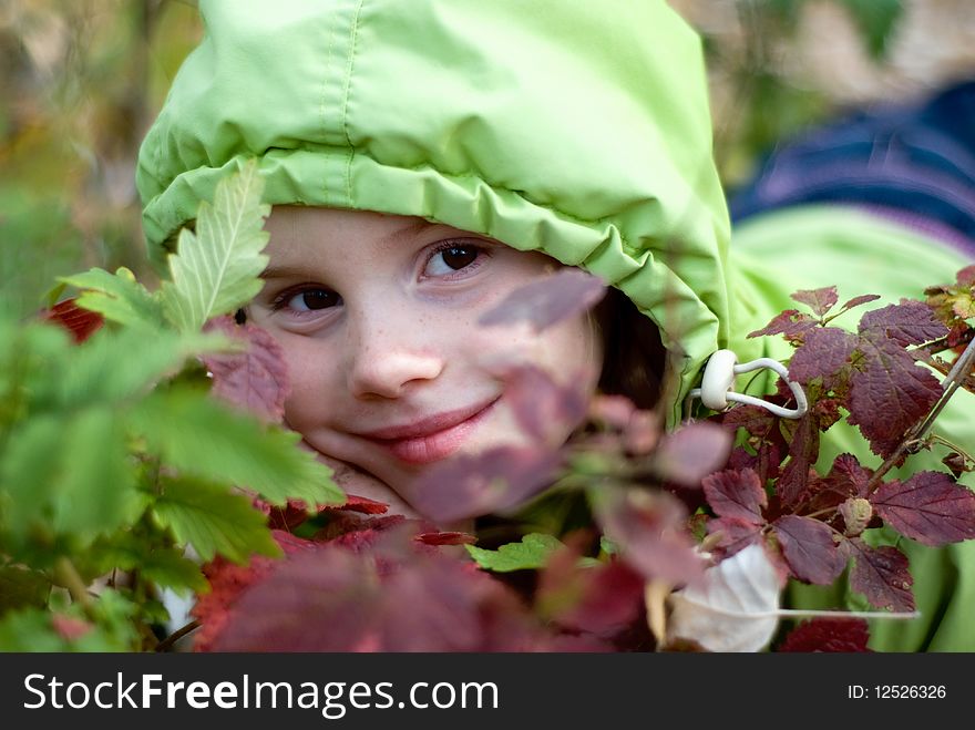 Smiling little girl in the hood hiding behind autumn leaves. Smiling little girl in the hood hiding behind autumn leaves