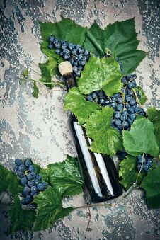Wine In Bottle And Different Types Of Grape On Concrete Background. Stock Images Wine In Bottle And Different Types Of Grape On Concrete Background. Stock Images