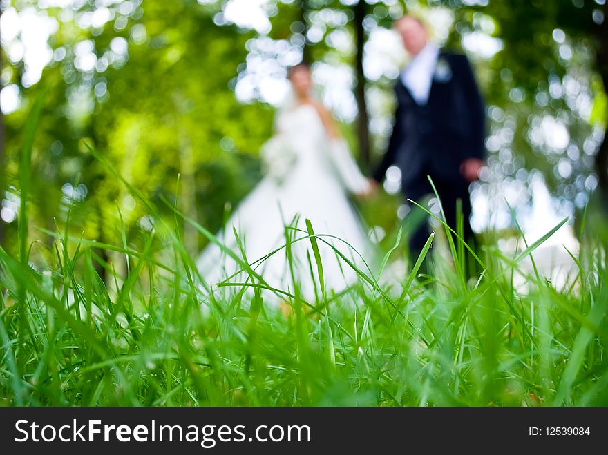 Blurry silhouettes of newlyweds looking through the grass