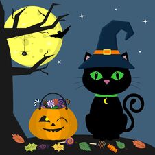 Happy Halloween. A Halloween Cat In A Witch Hat Sits Next To A Pumpkin Filled With Sweets. A Tree, A Spider, A Full Moon Royalty Free Stock Images Happy Halloween. A Halloween Cat In A Witch Hat Sits Next To A Pumpkin Filled With Sweets. A Tree, A Spider, A Full Moon Royalty Free Stock Images