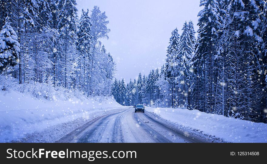 Christmas winter landscape, spruce and pine trees covered in snow on a mountain road