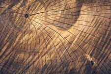Aged Timber Plank Surface, Log Pattern Royalty Free Stock Photos