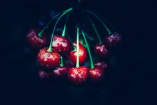 Red Cherries On Dark Background. Royalty Free Stock Photos