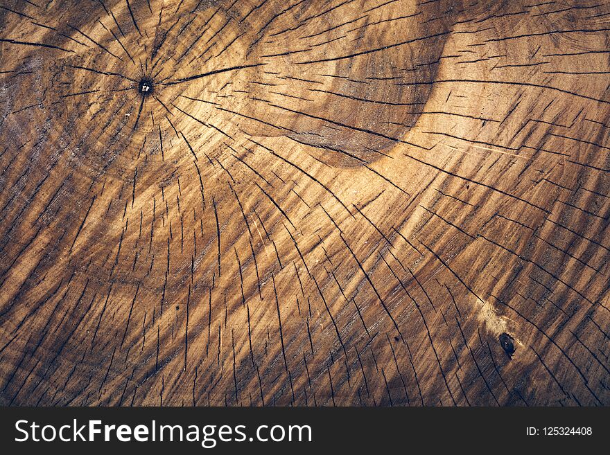 Old wooden log pattern, natural tree texture. Background. Plank surface. Old wooden log pattern, natural tree texture. Background. Plank surface.