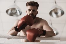 Portrait Of Male Boxer In Gloves On Boxing Ring Stock Photo