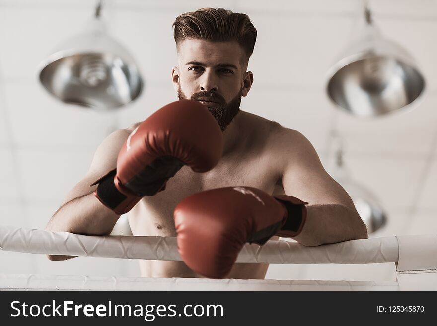 Portrait Of Male Boxer In Gloves On Boxing Ring