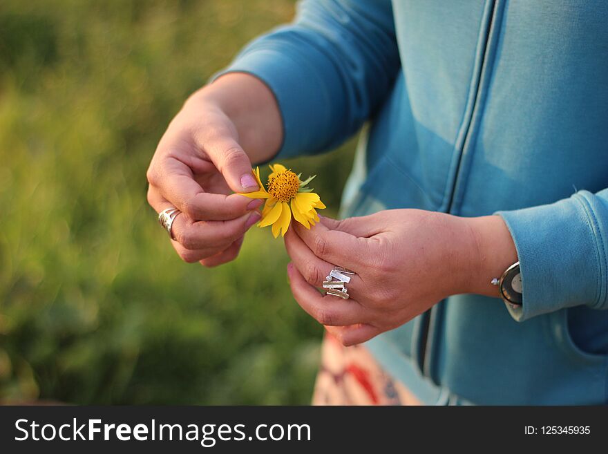 A Woman Holding Yellow Flower