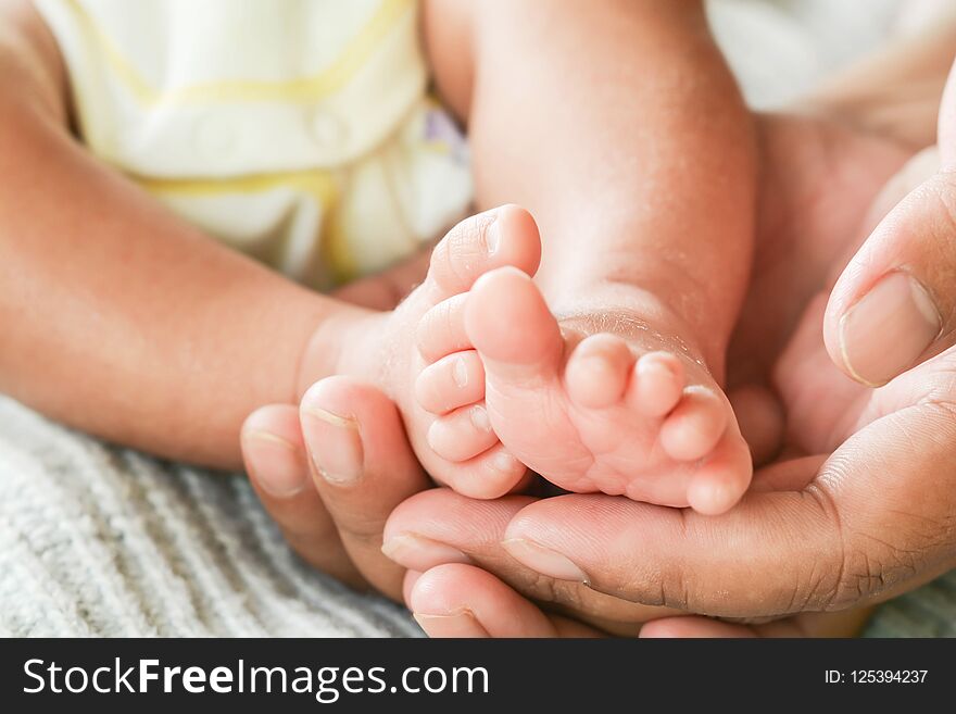 Newborn Baby Feet In The Hands Of The Mother. The Family Is Lovely, Warm