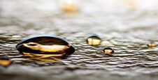Gold Water Drops Closeup On Silver Foil Background Closeup Macro Stock Image