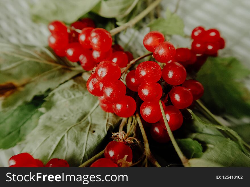 Stoneberry red berries with leaves. healthy food. Healthy sweets. Stoneberry red berries with leaves. healthy food. Healthy sweets..