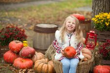 Autumn Background. Nature Concept. Halloween, Thanksgiving, Decoration Of The House And Garden For The Holiday. Royalty Free Stock Photography