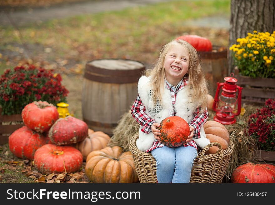 Autumn background. Nature concept. Halloween, Thanksgiving, decoration of the house and garden for the holiday.