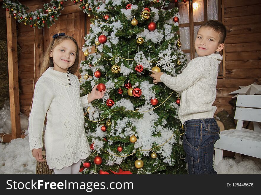 Sister and brother decorating Christmas tree