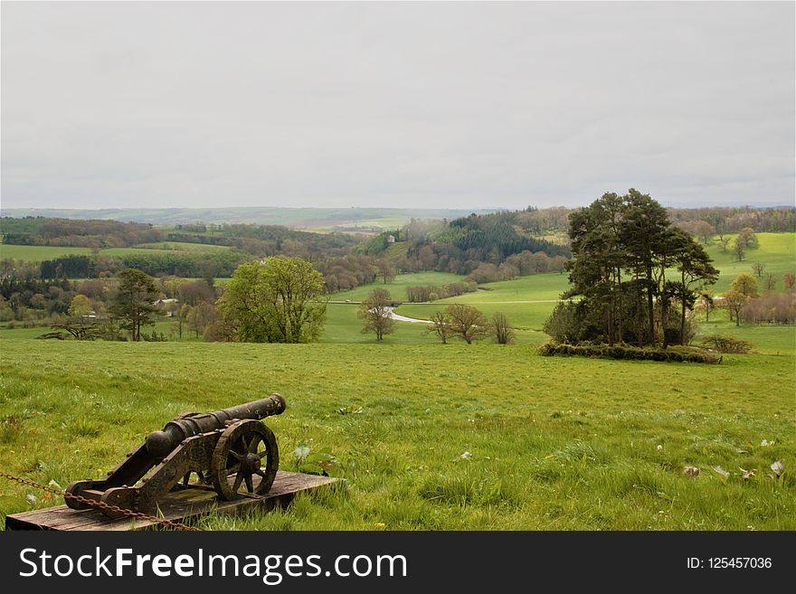 Grassland, Hill, Grass, Pasture