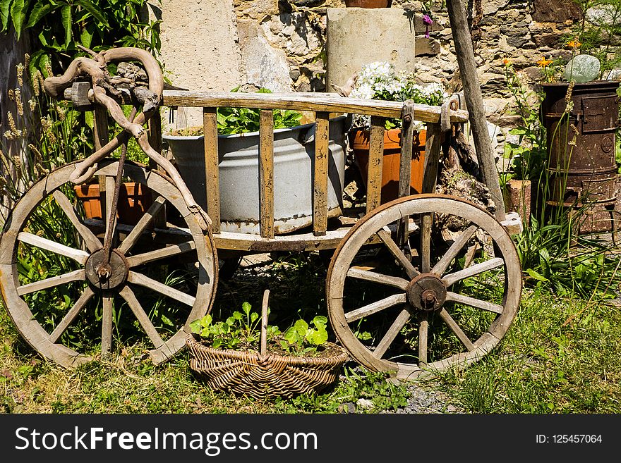 Cart, Vehicle, Plant, Carriage