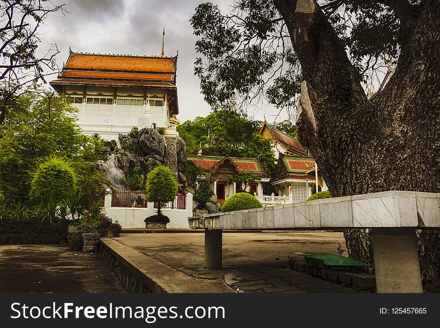 Tree, Building, Plant, Tourist Attraction