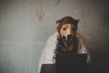 Free Portrait Charming Beautiful Hacker Woman Royalty Free Stock Images - 125498269