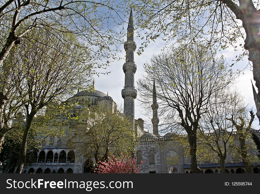 Landmark, Tree, Monument, Memorial