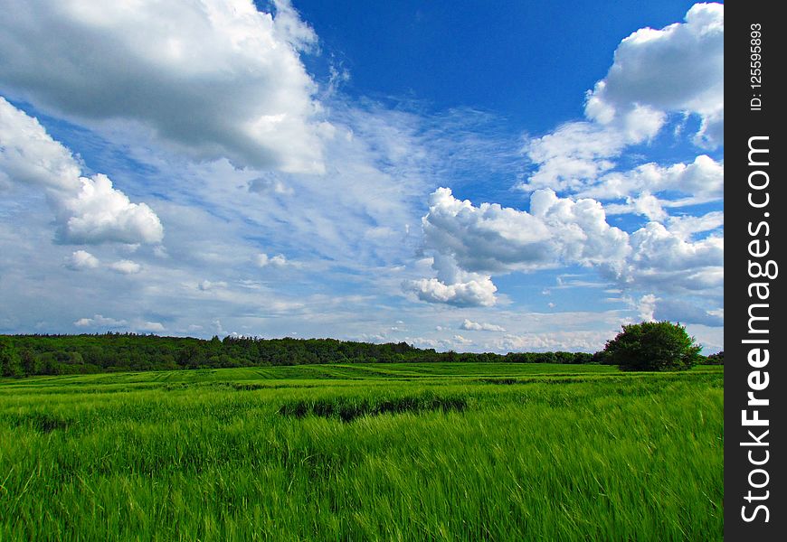 Sky, Grassland, Field, Prairie