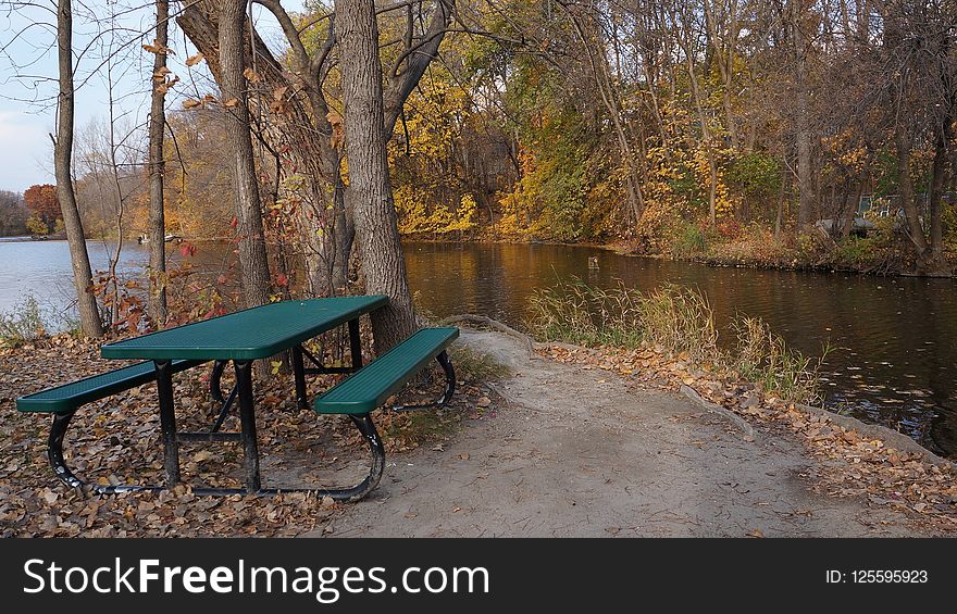 Water, Nature, Nature Reserve, Reflection