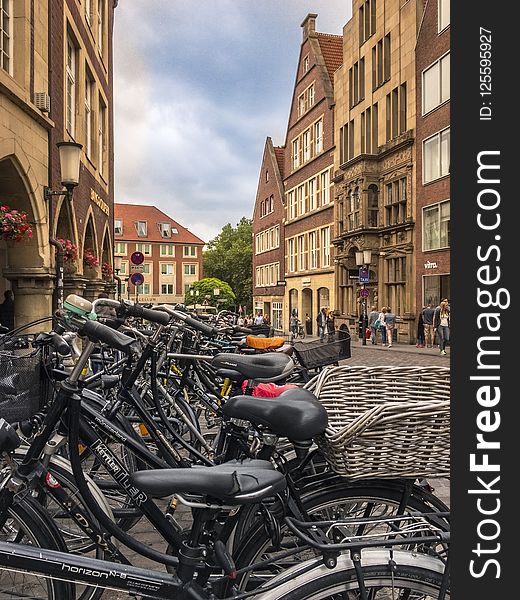 Land Vehicle, Bicycle, Urban Area, City