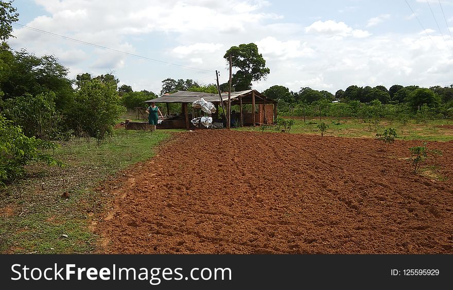 Soil, Field, Agriculture, Farm