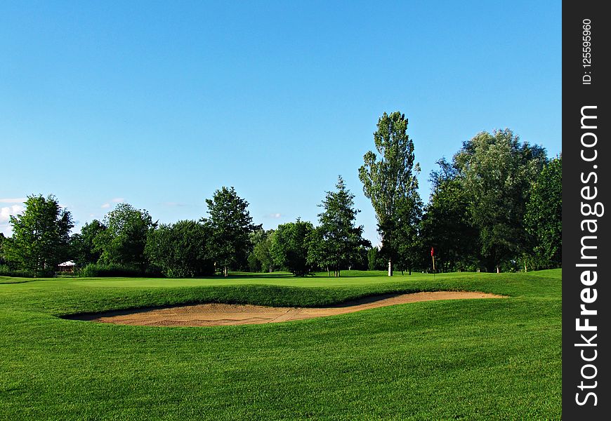 Grassland, Golf Course, Field, Lawn