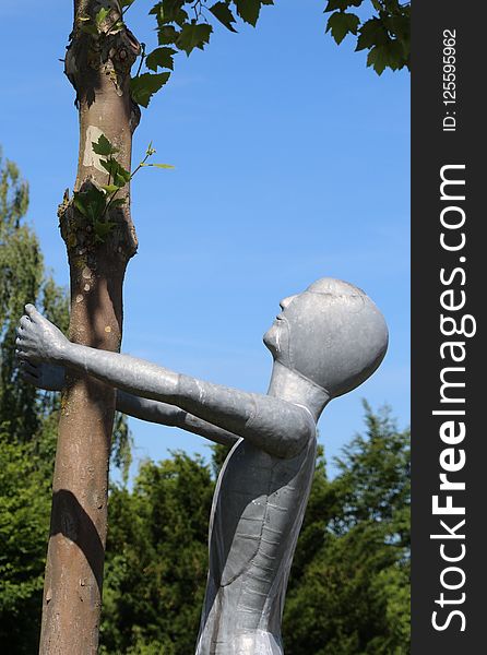 Sculpture, Tree, Statue, Woody Plant