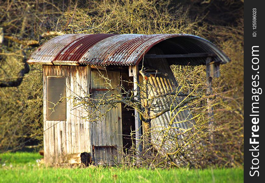 House, Grass, Shack, Shed