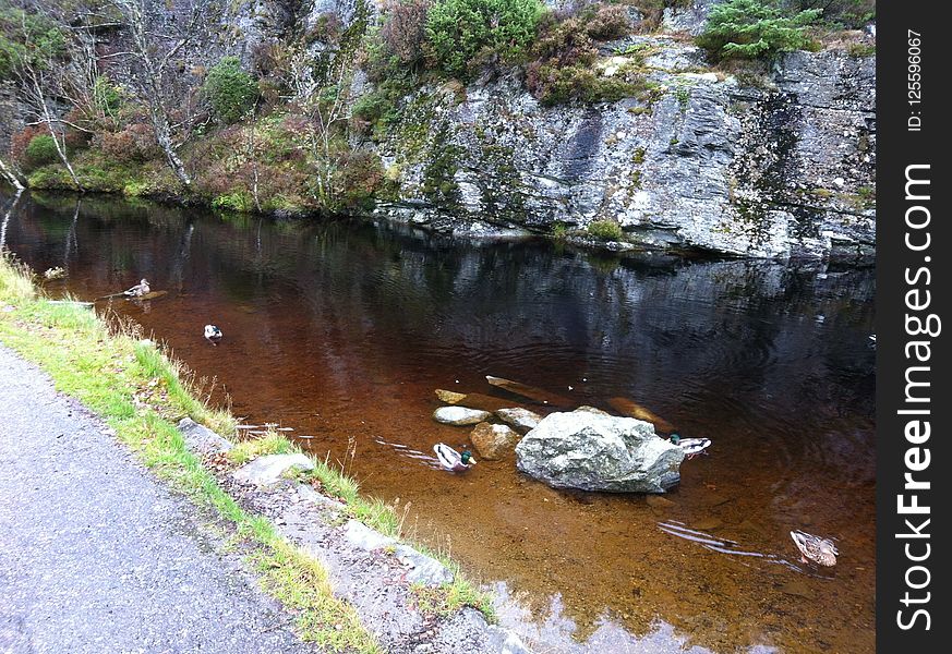 Body Of Water, Water, Stream, Water Resources