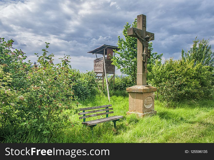 Nature Reserve, Grass, Tree, Sky