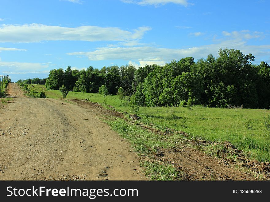 Road, Path, Sky, Grassland