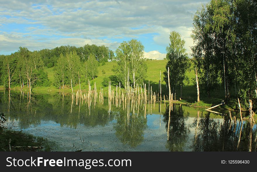 Reflection, Water, Nature, Nature Reserve