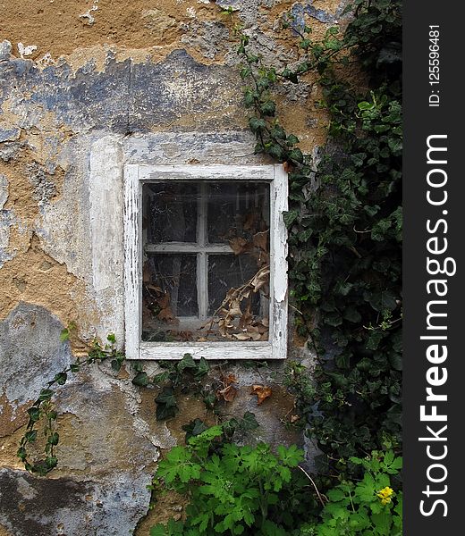 Window, Wall, Ruins, House