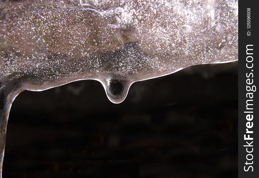 Water, Close Up, Organism, Macro Photography