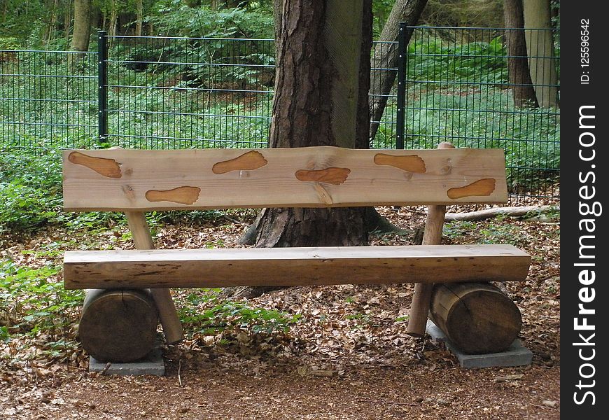 Furniture, Bench, Table, Wood