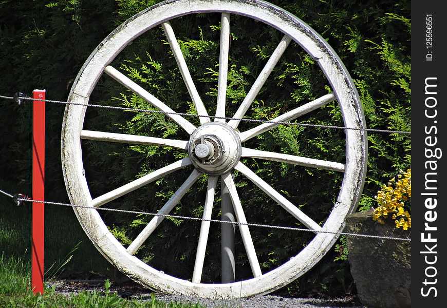 Wheel, Motor Vehicle, Spoke, Bicycle Wheel