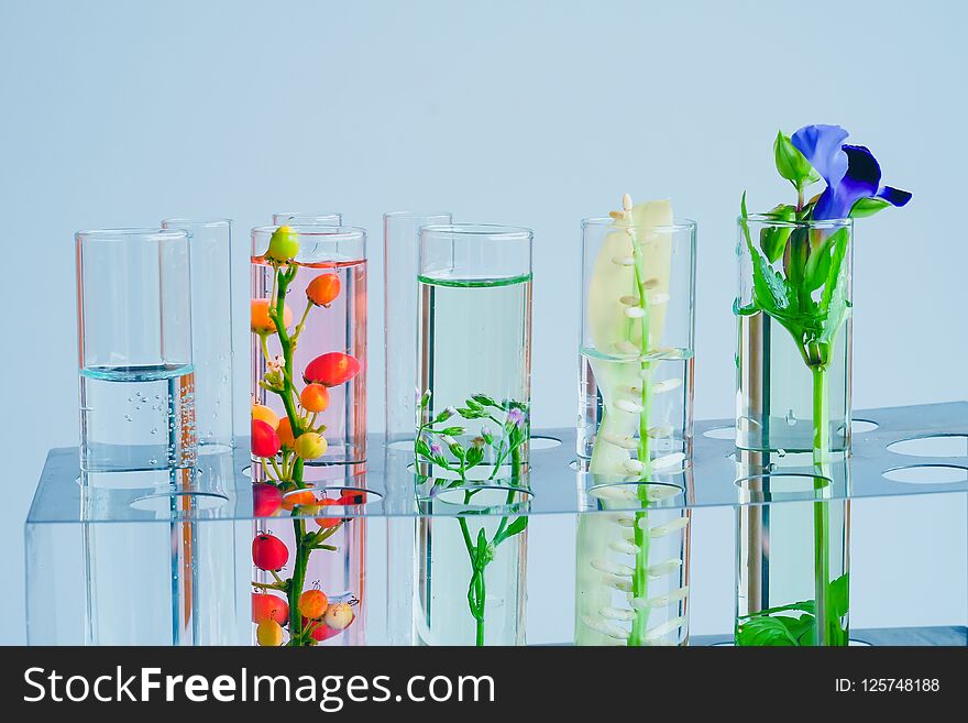 Small plants in test tube for biotechnology medicine .