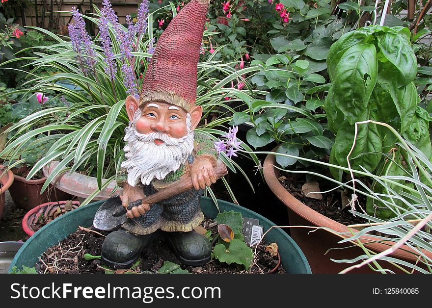 Garden Gnome, Lawn Ornament, Plant, Statue