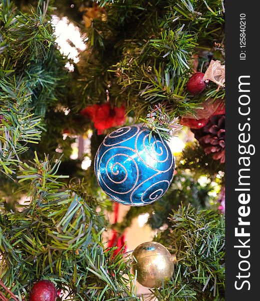 Christmas Decoration, Christmas Ornament, Christmas, Evergreen