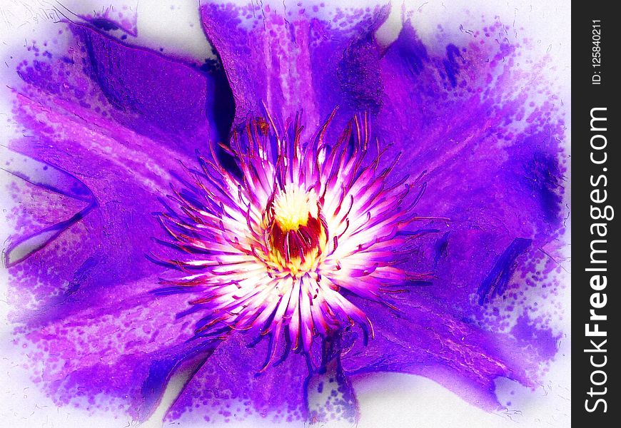 Flower, Purple, Violet, Flowering Plant