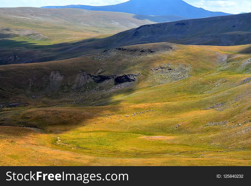 Highland, Grassland, Ecosystem, Hill