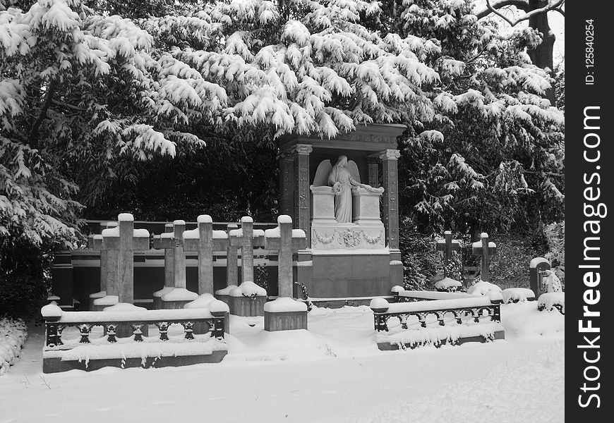 Snow, Winter, Black And White, Tree