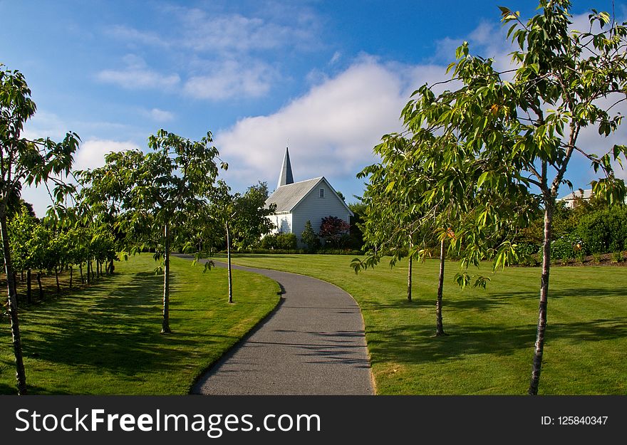 Property, Sky, Estate, Tree